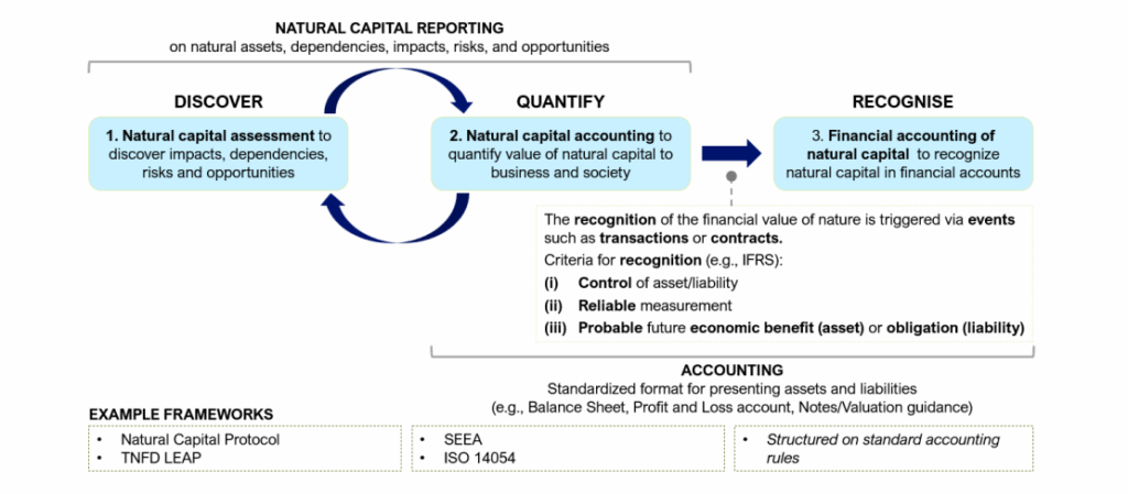 nature on the balance sheet 1